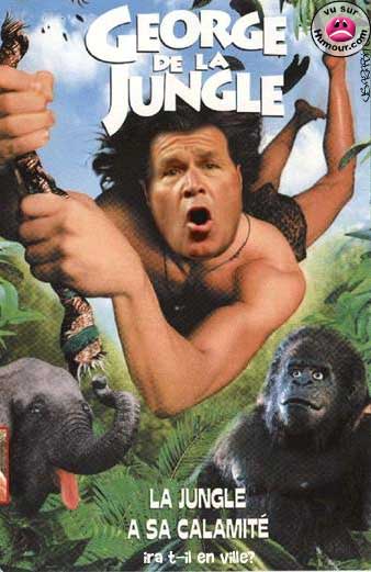 bush